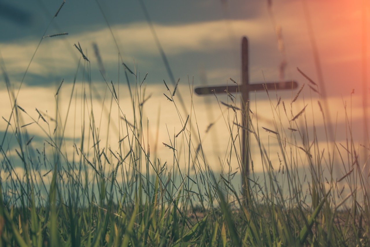 al ver JESÚS a la multitud COMENZÓ a decir…