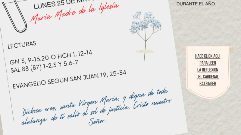 Dichosa eres, santa Virgen María, y digna de toda alabanza: de ti salió el sol de justicia, Cristo nuestro Señor.