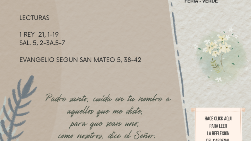 Tu palabra es una lámpara para mis pasos y una luz en mi camino.