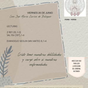 Cristo tomó nuestras debilidades y cargó sobre sí nuestras enfermedades.