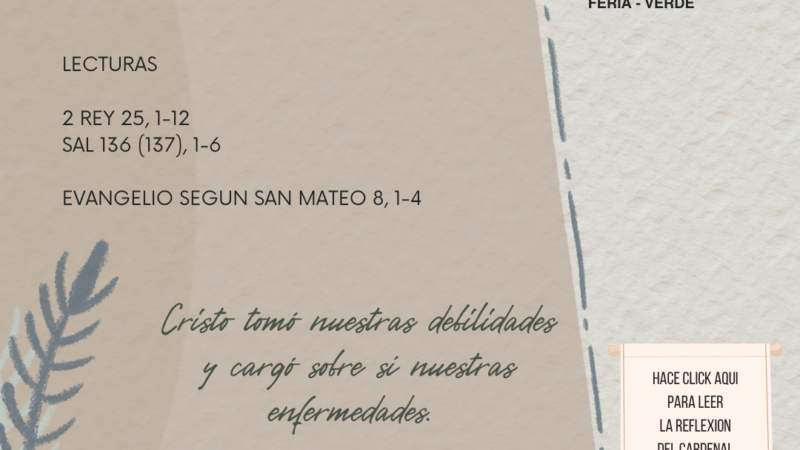 Cristo tomó nuestras debilidades y cargó sobre sí nuestras enfermedades.