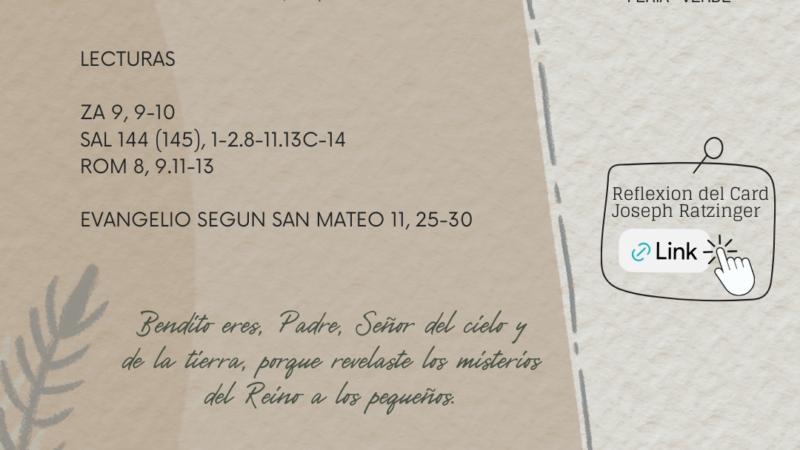 Bendito eres, Padre, Señor del cielo y de la tierra, porque revelaste los misterios del Reino a los pequeños.