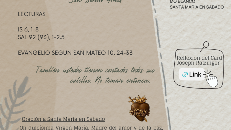 También ustedes tienen contados todos sus cabellos. No teman entonces,