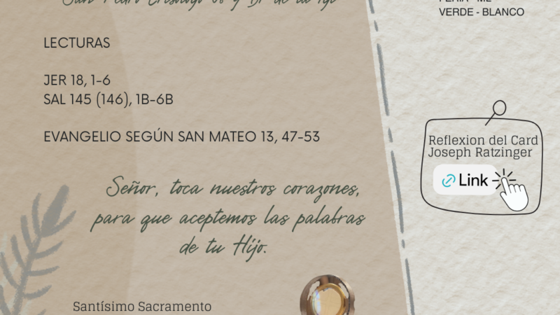 Señor, toca nuestro corazón, para que aceptemos las palabras de tu Hijo y sepamos discernir antes de actuar.